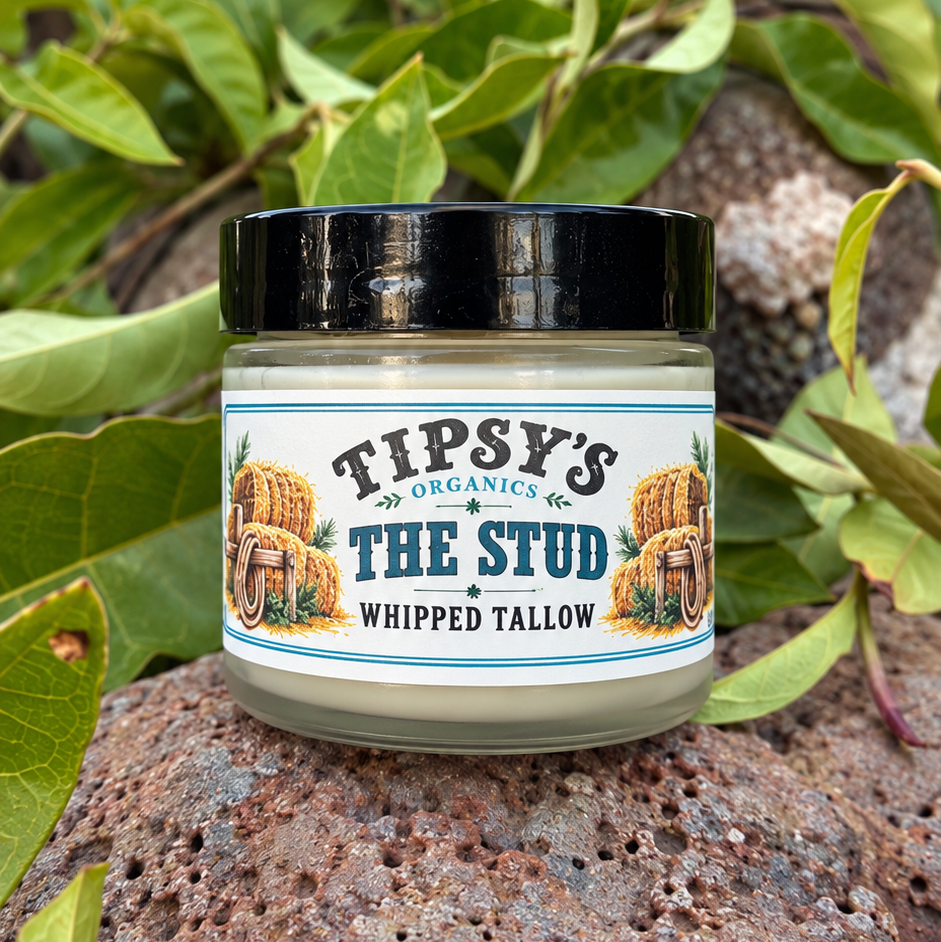 The Stud Whipped Tallow